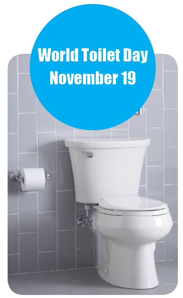 World Toilet Day - November 19, 2013